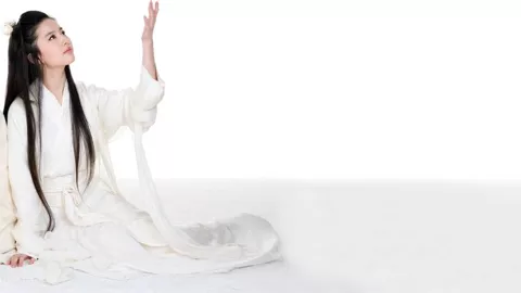 历史新高