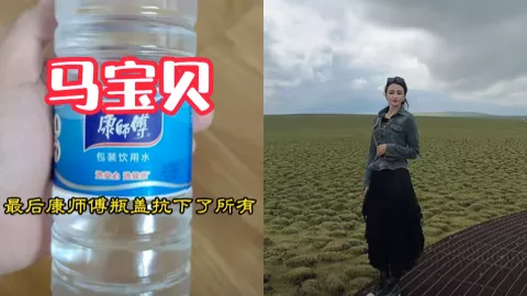 网红生活