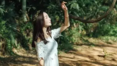 辛芷蕾