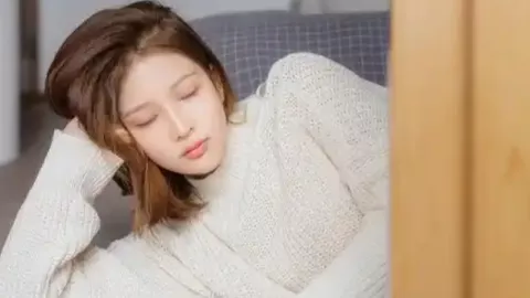 辽宁宠物产业