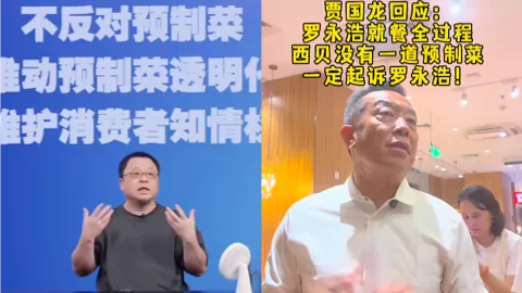 西贝预制菜