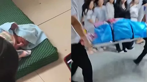 大二学姐