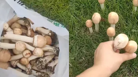 合肥南艳湖