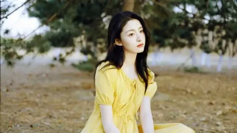 杨幂维权
