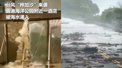 桦加沙