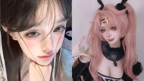 虎皮折耳猫