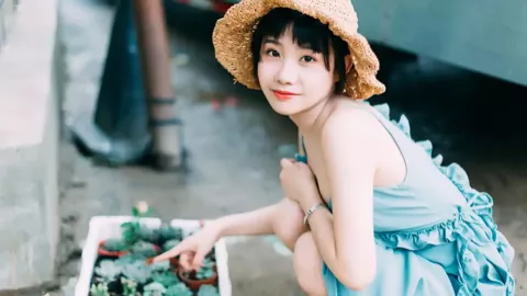 董璇