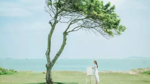 苏醒拉踩河南胡辣汤争议