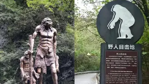 神农架野人