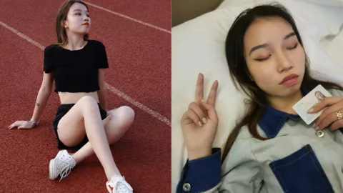 陆藏