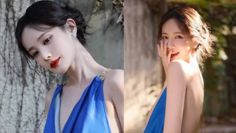 李一桐