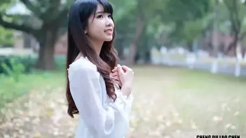 非洲狮小毛