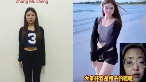 橙子姐姐