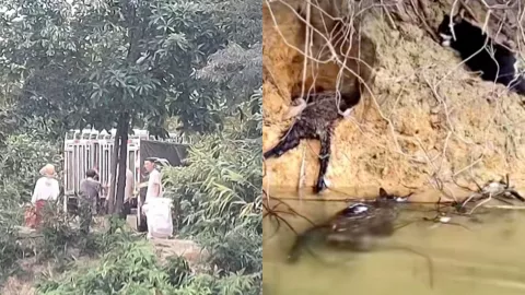 清远迎咀水库