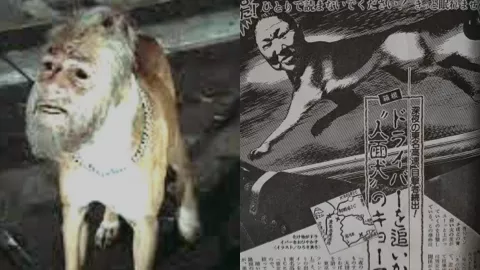 日本昭和怪谈