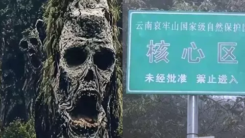 哀牢山