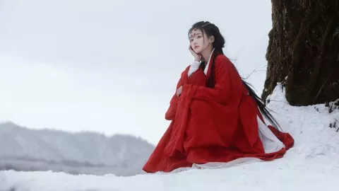 日本广岛牡蛎