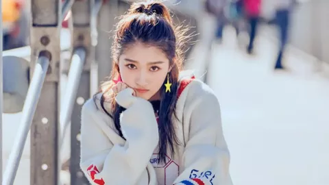 杭州狗咬纠纷