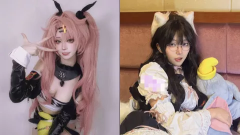 虎皮折耳猫
