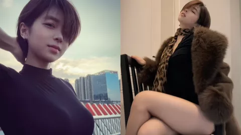 短发那只猫