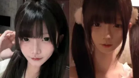 口口犬