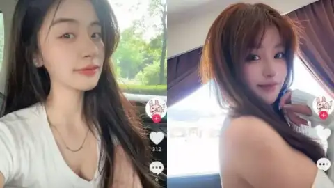 苏苏y