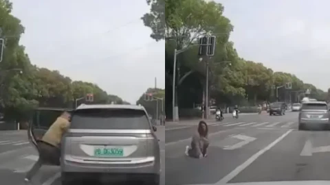 上海沪爷