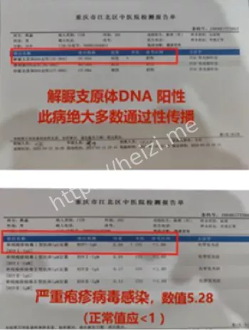 实名举报