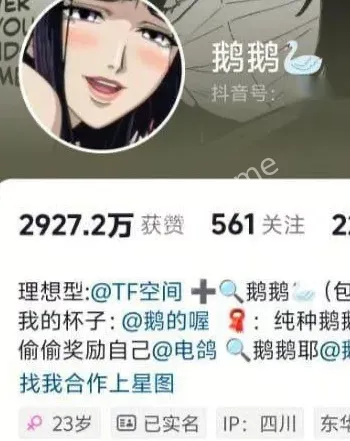 鹅鹅