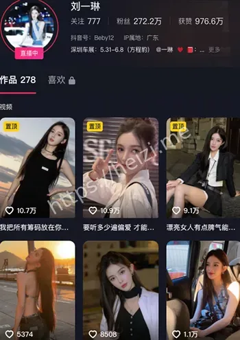 刘一琳