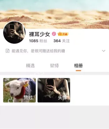 裸耳少女
