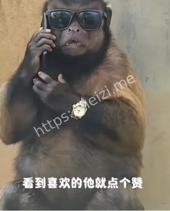 离世