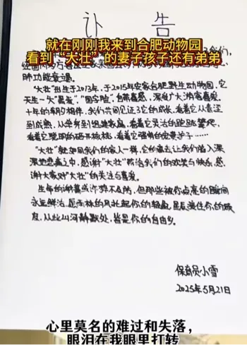 动物园通报
