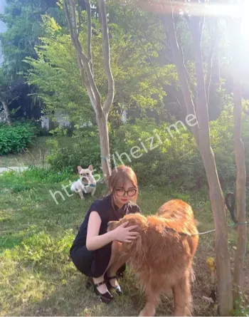 内幕曝光