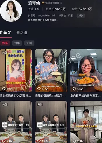 浪胃仙