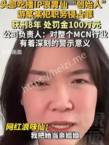 浪胃仙