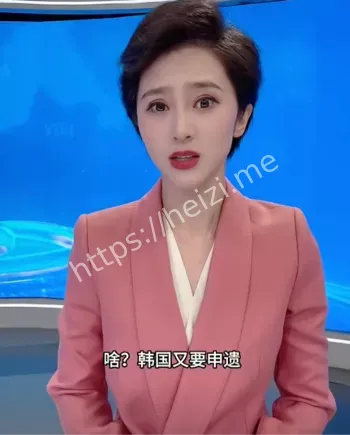文化争议