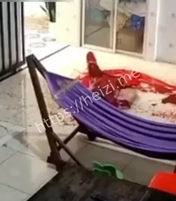 虎牙女主播