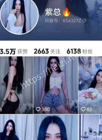 紫总