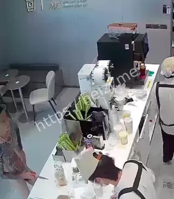 广东古茗