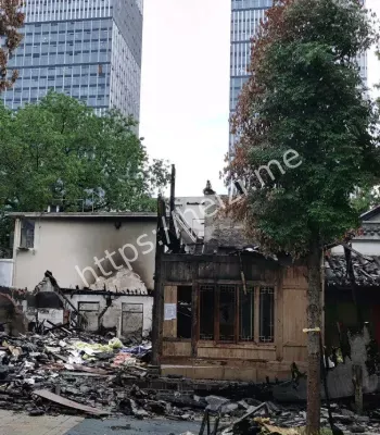 16亿藏品