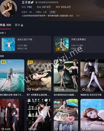 王子祯