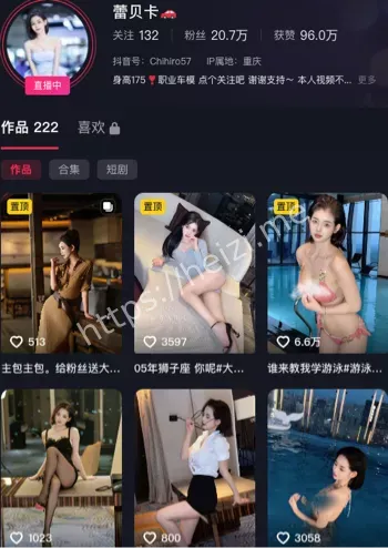 蕾贝卡