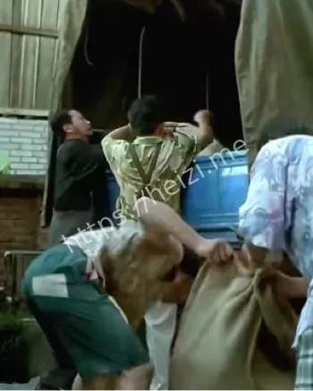 黑子网热议