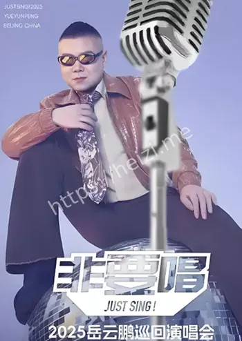 岳云鹏演唱会