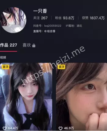 一只香