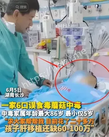 误食毒蘑菇