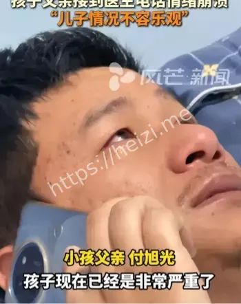 灰花纹鹅膏菌