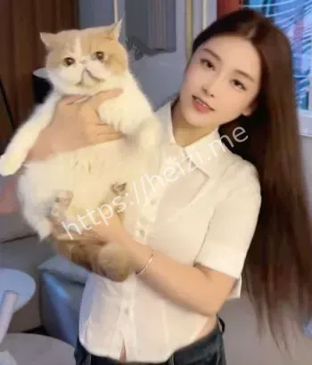 极品御姐