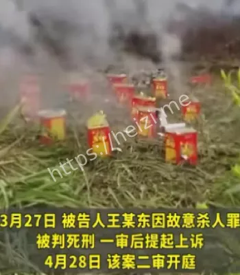 报复杀人